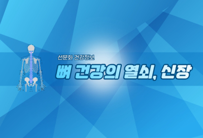 선仙문화 건강정보 (12) - 뼈 건강의 열쇠, 신장